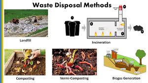 Image for Waste Disposal Methods: Sustainable Solutions for a Cleaner Future